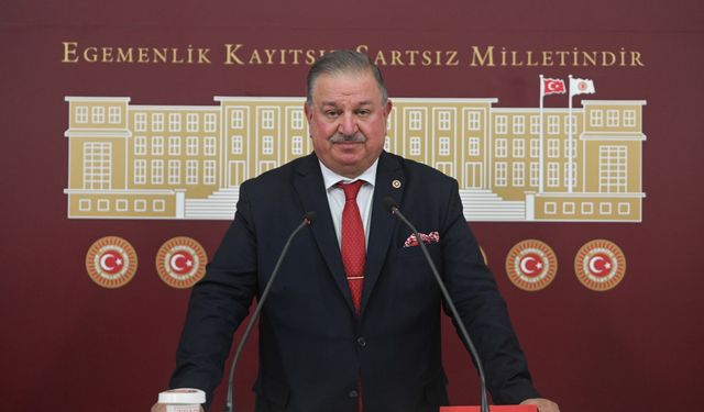 Yeniden Refah Partili Bekin, "TDT ve D-8 konusunda güçlü adımlar atılmasını istediğini" söyledi