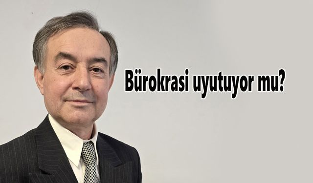 Bürokrasi uyutuyor mu?