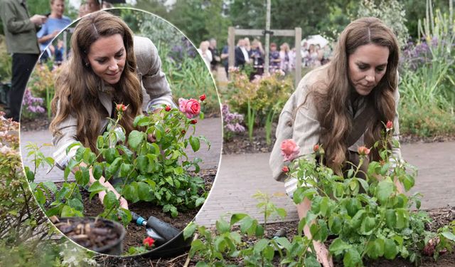 Prenses Kate, kanser yardım etkinliğinde gül dikti
