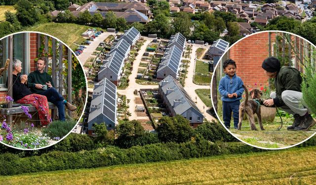 Hazelmead Ortak Yaşam Projesi Geleceğin Konut Modeli!