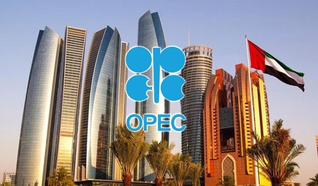 Birleşik Arap Emirlikleri OPEC'ten ayrılıyor