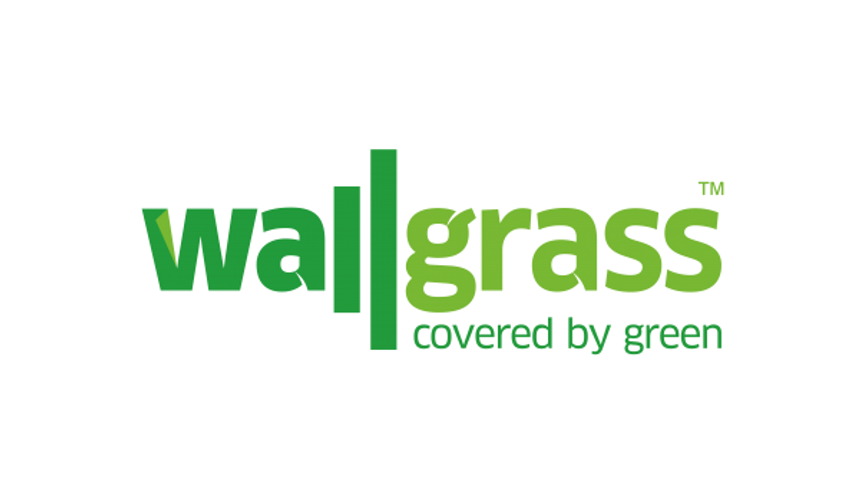 Wallgrass