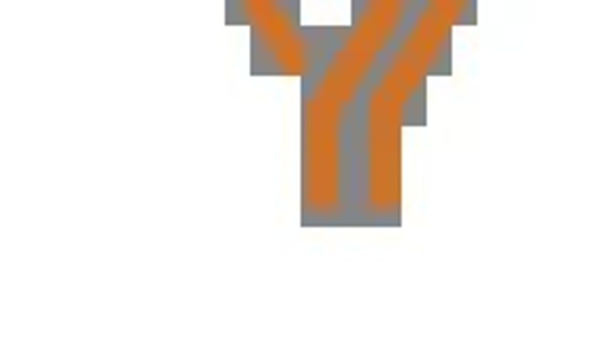 Henry York | Amerika da Şirket Kurma Danışmanlığı