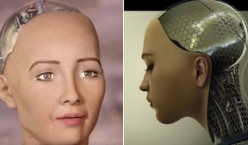 Robot Sophia 'İnsanlığın sonunu getirecek'