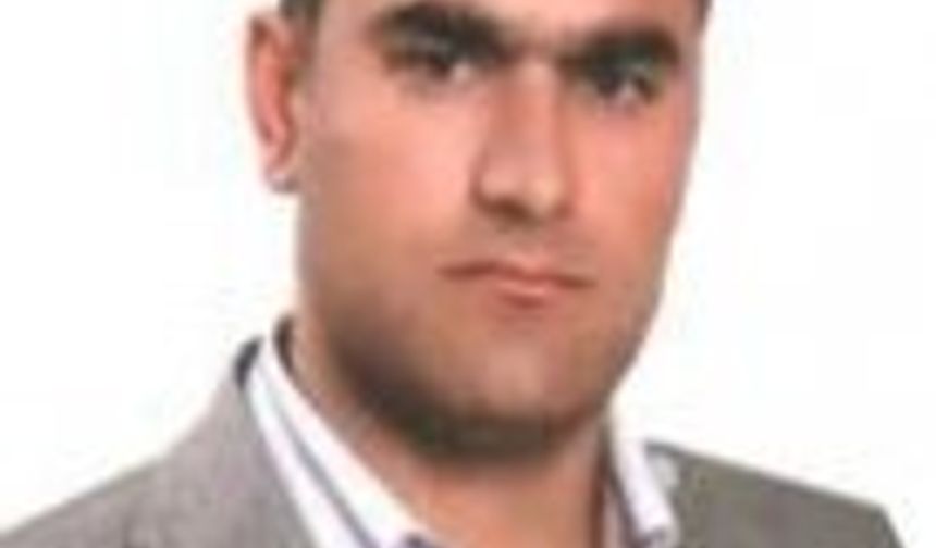 Arap Baharı, Avrupa , Havayolları ve 2012