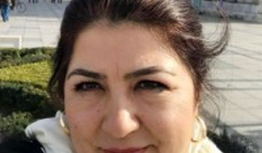 Doktora sürecini anlamak üzerine