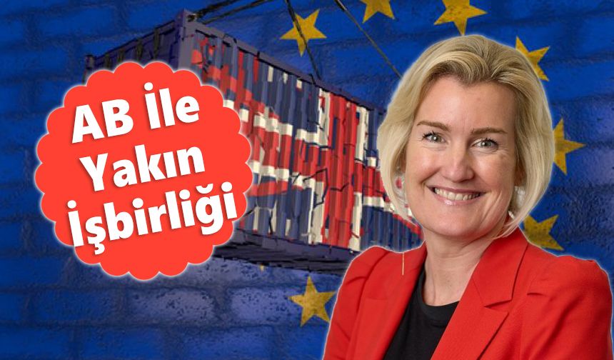 İngiliz ihracatçılar Brexit kurallarından şikayetçi