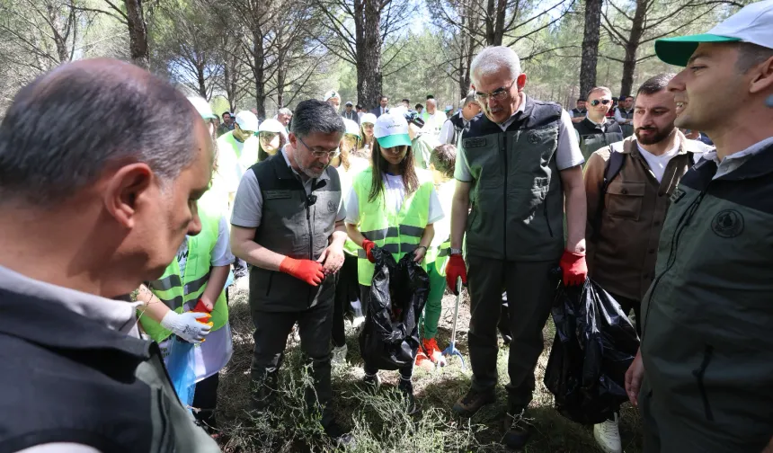 Orman yangınlarına karşı eş zamanlı temizlik