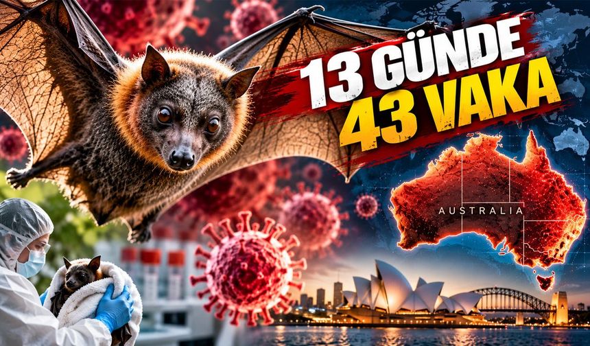 Ölümcül Virüs Alarmı: Yüzde 330 Arttı!