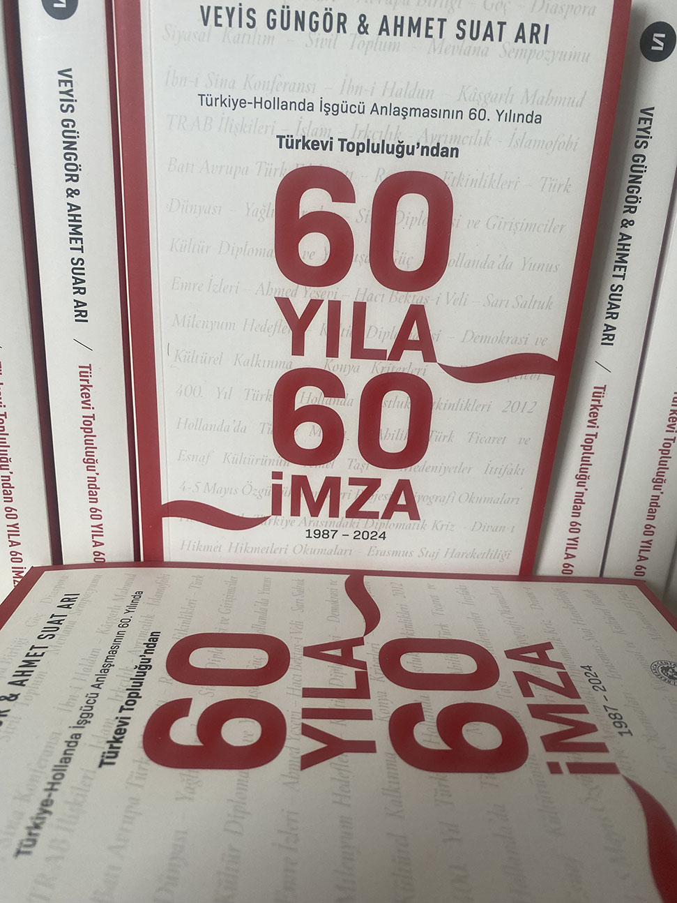 Veyis Gungor Avrupali Turkler 2