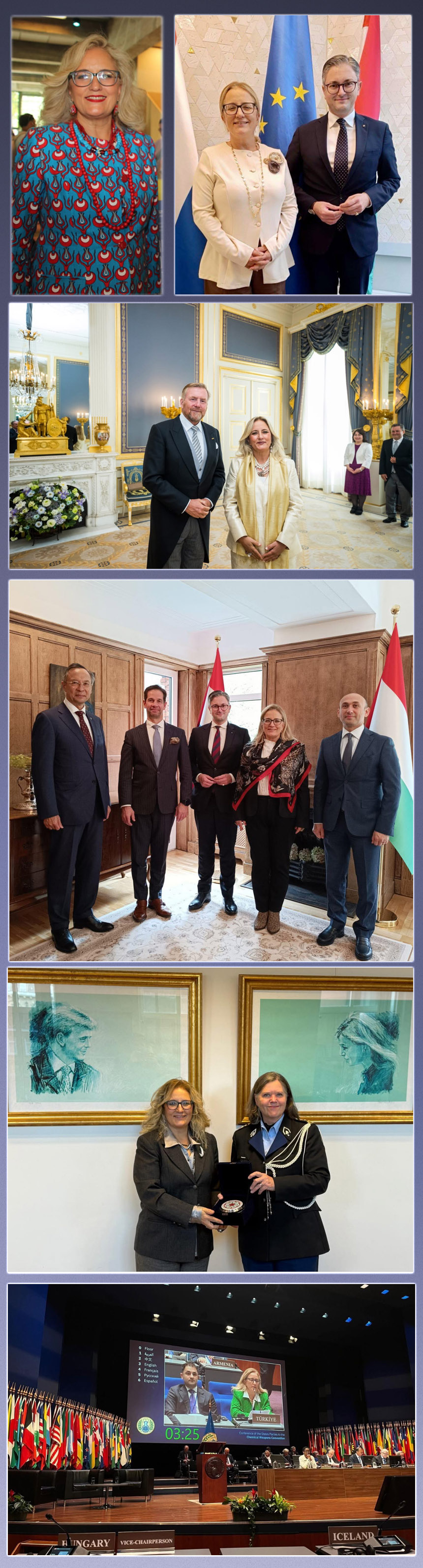 Veyis Gungor Lahef Buyukelcisi Fatma Yazgan