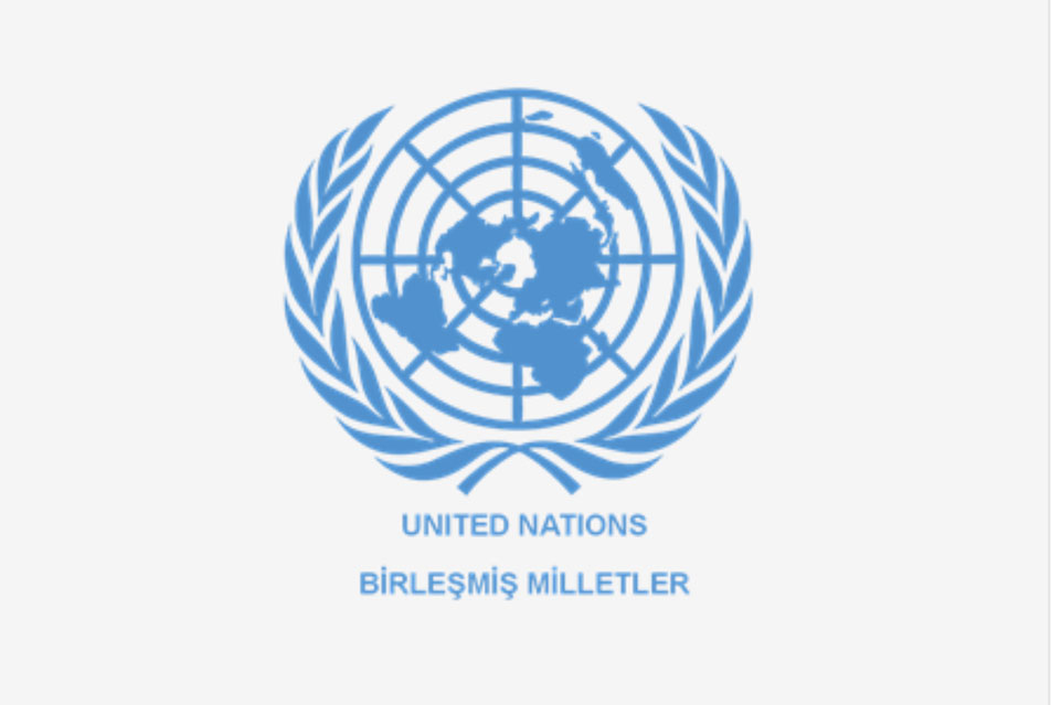 Veyis Diplomasi Sanatı Ve Küresel Denge.8664