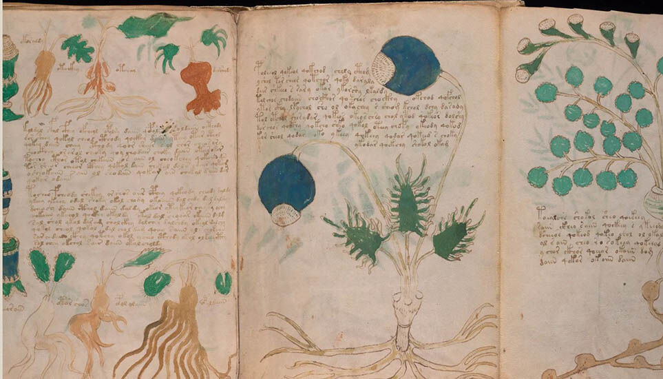 Neptune E Kosi Voyanich