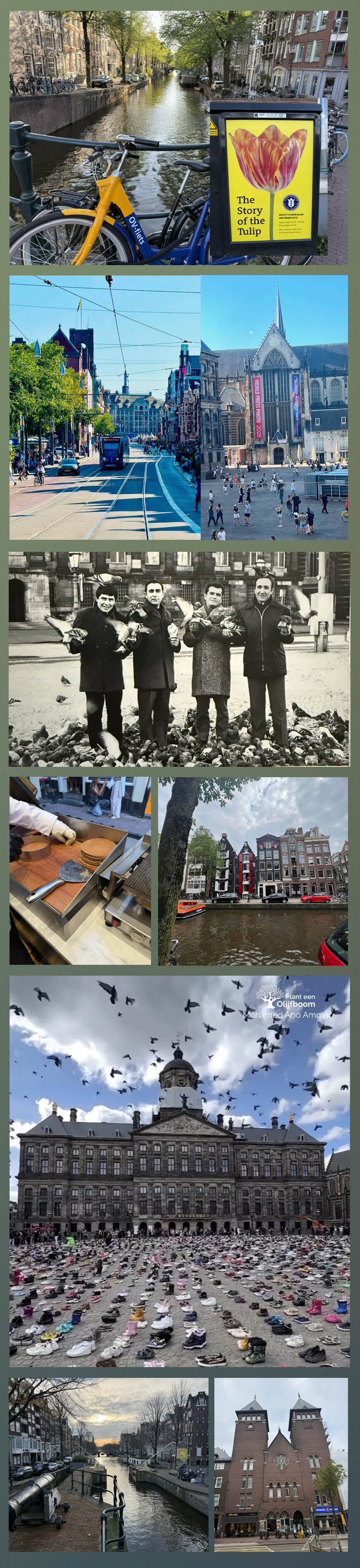 Veyis Hacettepeli Gencler Amsterdam